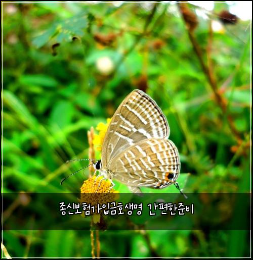 ์ข
์ ๋ณดํ๊ฐ์
๊ธํธ์๋ช
๊ฐํธํ์ค๋น