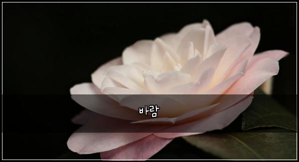 바람