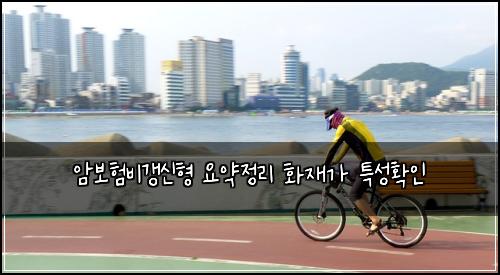 암보험비갱신형 요약정리 화재가 특성확인