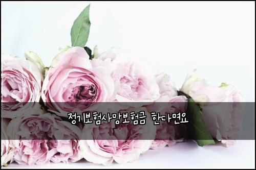 ์ ๊ธฐ๋ณดํ์ฌ๋ง๋ณดํ๊ธ ํ๋ค๋ฉด์