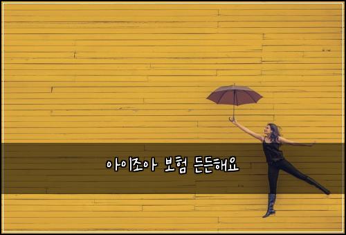 μμ΄μ‘°μ 보ν λ λ ν΄μ