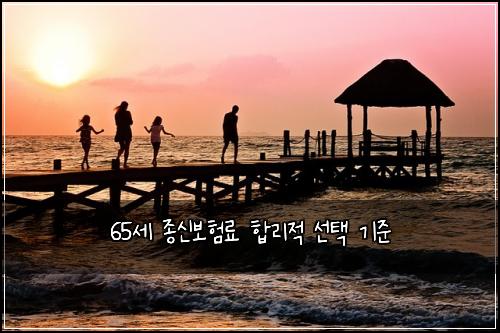 65세 종신보험료 합리적 선택 기준