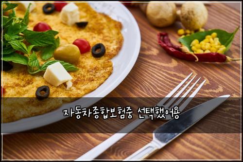 자동차종합보험중 선택했어용