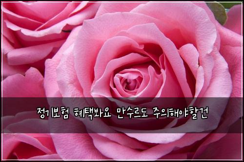 ์ ๊ธฐ๋ณดํ ํํ๋ด์ ๋ง์๋ฅด๋ ์ฃผ์ํด์ผํ ๊ฑด