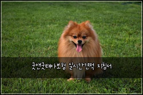 굿앤굿태아보험 실시간견적  지침서