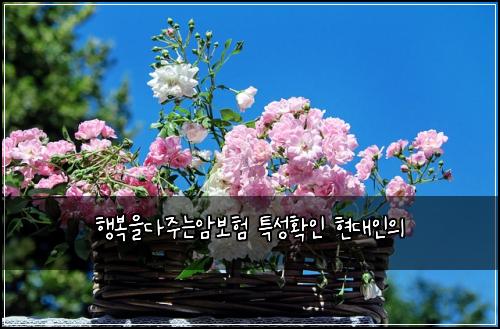 ํ๋ณต์๋ค์ฃผ๋์๋ณดํ ํน์ฑํ์ธ ํ๋์ธ์