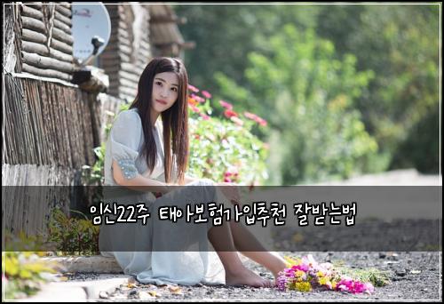 ์์ 22์ฃผ ํ์๋ณดํ๊ฐ์
์ถ์ฒ ์๋ฐ๋๋ฒ