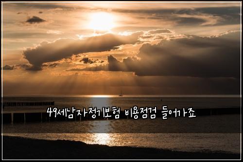 49세남자정기보험 비용점검  들어가죠