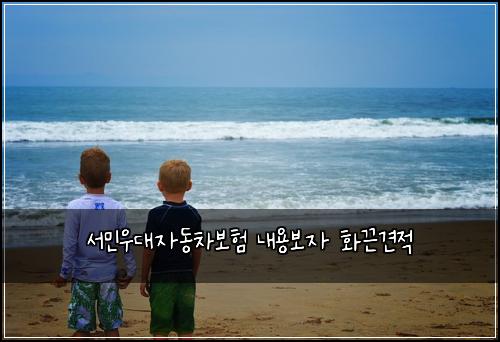 서민우대자동차보험 내용보자  화끈견적