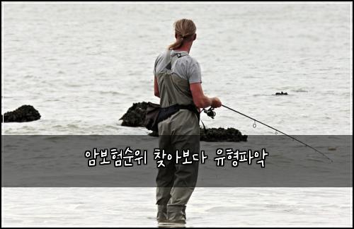 암보험순위 찾아보다 유형파악