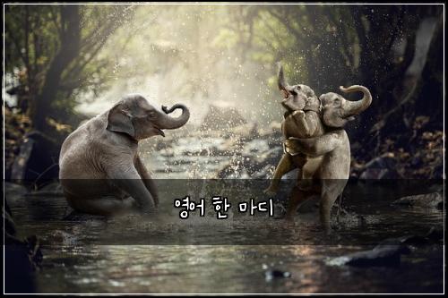 영어 한 마디