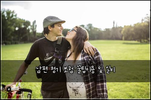 남편 정기 보험 꿀팁이용  및 실비