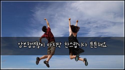 암보험생활비 마지막 찬스랍니다 튼튼해요