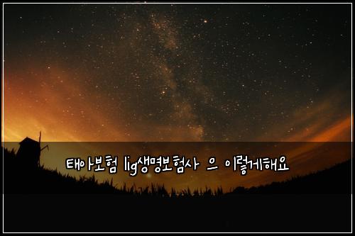 태아보험 lig생명보험사 으 이렇게해요
