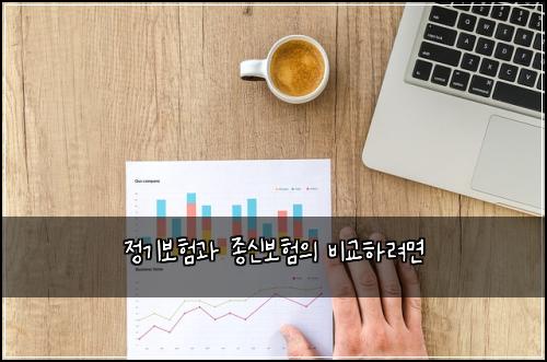 정기보험과 종신보험의 비교하려면