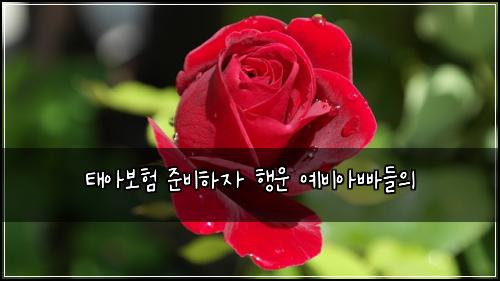 태아보험 준비하자  행운 예비아빠들의