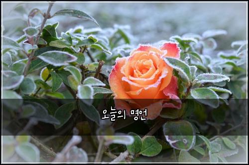 오늘의 명언