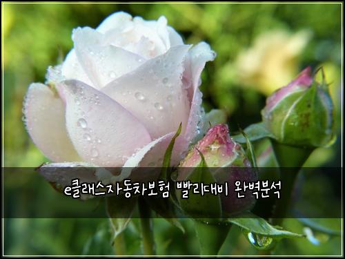 eํด๋์ค์๋์ฐจ๋ณดํ ๋นจ๋ฆฌ๋๋น ์๋ฒฝ๋ถ์