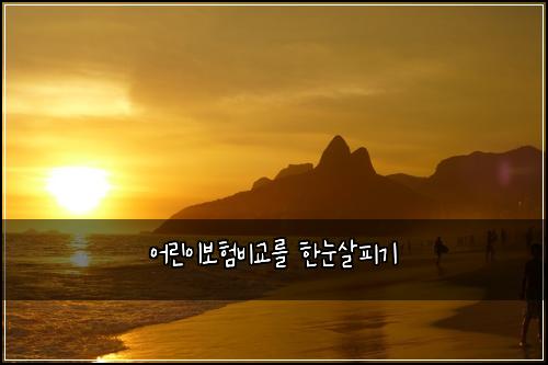 어린이보험비교를 한눈살피기