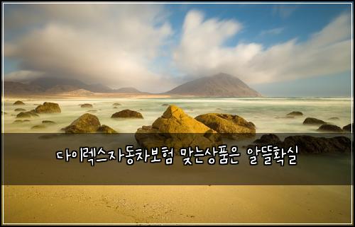 다이렉스자동차보험 맞는상품은  알뜰확실
