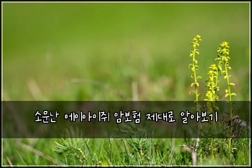 소문난 에이아이쥐 암보험 제대로 알아보기