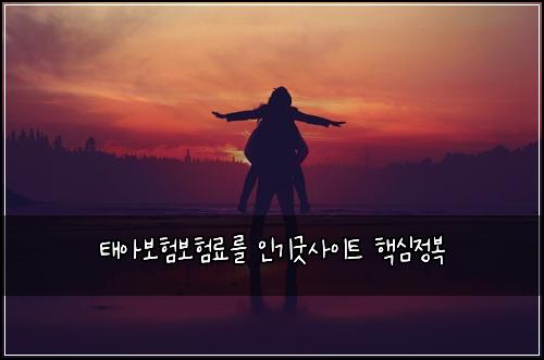 태아보험보험료를 인기굿사이트 핵심정복