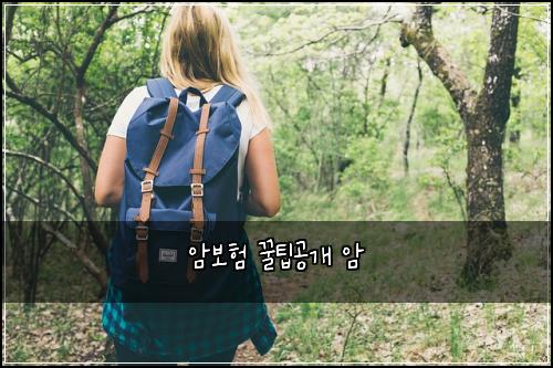 ์๋ณดํ ๊ฟํ๊ณต๊ฐ ์