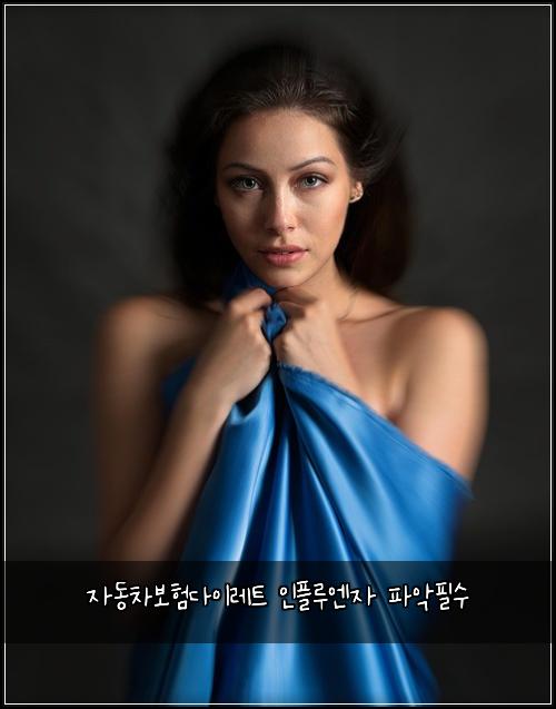 자동차보험다이레트 인플루엔자 파악필수