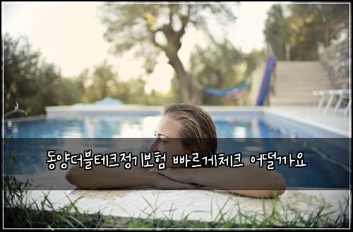 동양더블테크정기보험 빠르게체크  어떨까요