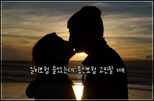 실비보험 들었는데 종신보험 고민될 때
