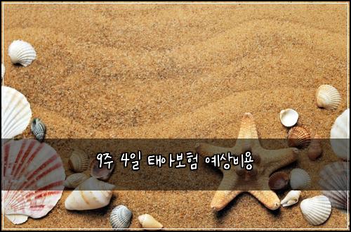 9์ฃผ 4์ผ ํ์๋ณดํ ์์๋น์ฉ