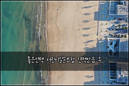 ์ข์์ ํ ์ด๋ฆฐ์ด์ค์๋ณดํ ๊ฒฌ์ ๋ฐ์ ์ฐ