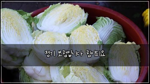 정기 보험입니다 힘이되요