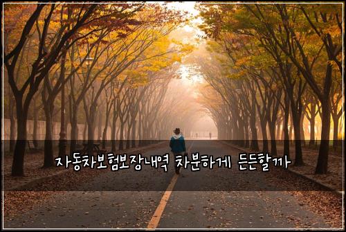 자동차보험보장내역 차분하게 든든할까