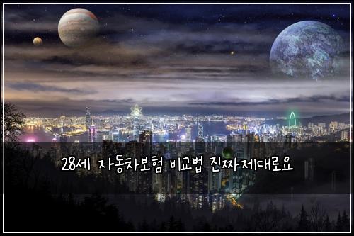 28์ธ ์๋์ฐจ๋ณดํ ๋น๊ต๋ฒ ์ง์ง์ ๋๋ก์