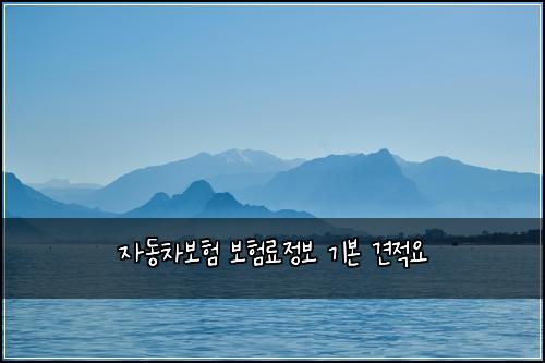 자동차보험 보험료정보  기본 견적요