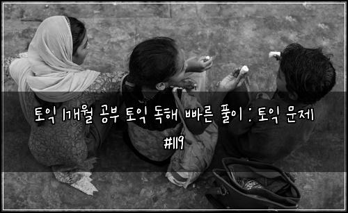 토익 1개월 공부 토익 독해 빠른 풀이 : 토익 문제 #119