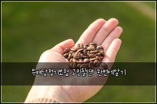 ๋ฌด๋ฐฐ๋น์ ๊ธฐ๋ณดํ ๊ณ ๋ฏผ๋ ๋ ํ๋ฒ์์๊ธฐ