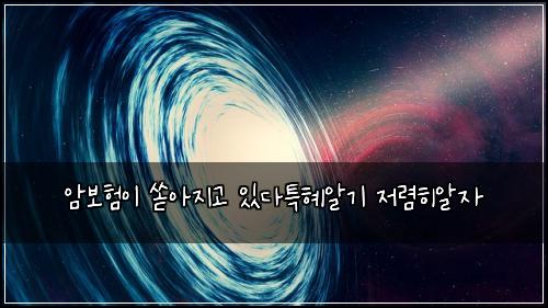 암보험이 쏟아지고 있다특혜알기 저렴히알자