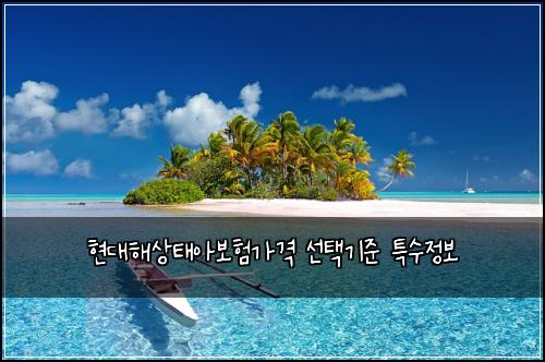 현대해상태아보험가격 선택기준 특수정보