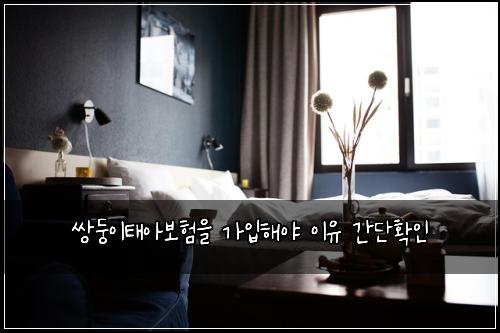 쌍둥이태아보험을 가입해야 이유 간단확인