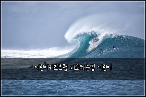 어린이키즈보험 비교하는법  어린이