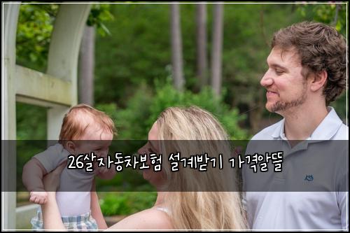 26μ΄μλ차보ν μ€κ³λ°κΈ° κ°κ²©μλ°