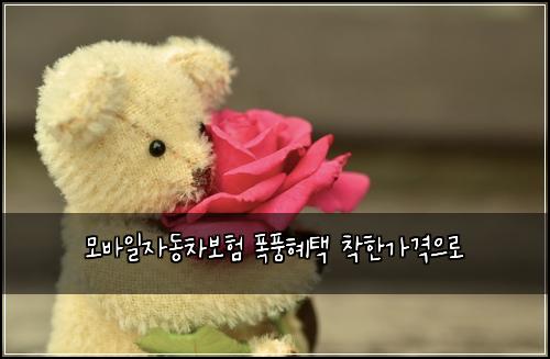 모바일자동차보험 폭풍혜택  착한가격으로
