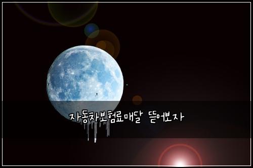 자동차보험료매달 뜯어보자