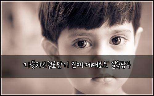 자동차보험료만기 진짜제대로요 실속탐구