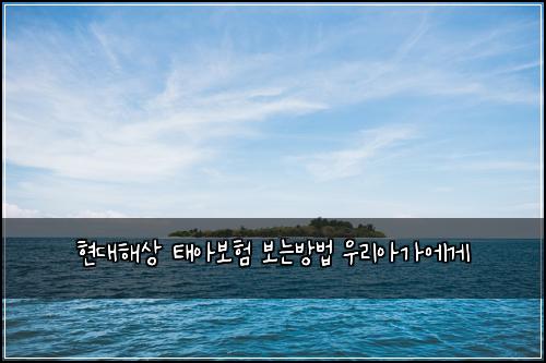 ํ๋ํด์ ํ์๋ณดํ ๋ณด๋๋ฐฉ๋ฒ ์ฐ๋ฆฌ์๊ฐ์๊ฒ