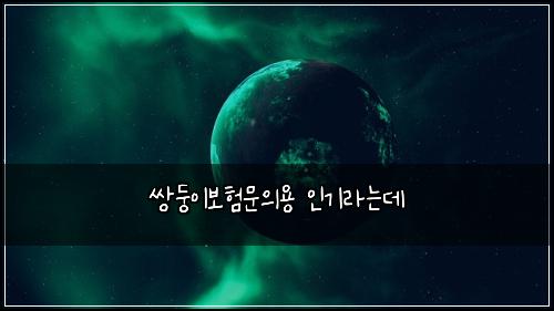 쌍둥이보험문의용 인기라는데