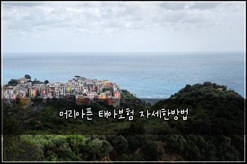 머리아픈 태아보험 자세한방법 