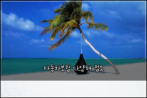 자동차보험 다양해  점오